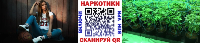 Где купить Шлиссельбург Канабис  A-PVP  Гашиш  МЕФ 