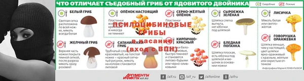 индика Баксан