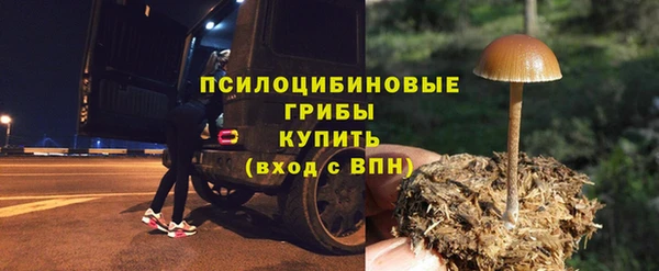 индика Баксан