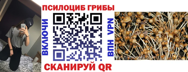 Галлюциногенные грибы MAGIC MUSHROOMS  что такое   Шлиссельбург 